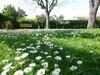 Hostal B&B Villa Acero