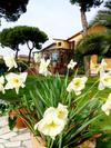 Hostal B&B Villa Acero