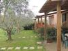 Agroturismo Agriturismo Podere Borgognano