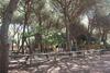 Camping Village Il Sole