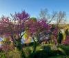 Apartamento La Suite A Chateau Franc Daut