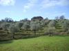 Bed & Breakfast La Filagna Country House