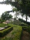 Villa Elisa B&B