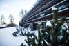 Hotel Vigilius Mountain Resort
