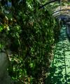 Hotel Meson Feliz