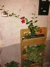 Bed & Breakfast Antico Borgo