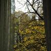 Bed & Breakfast Le Ortensie Di Via Rossetti