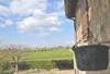 Podere Lornanino