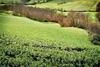 B&B Al Castello