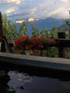 Agroturismo Agriturismo Lo Ratel�