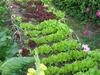 Agroturismo Agriturismo Lo Ratel�