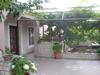 Apartmani Alma