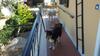 Bed & Breakfast B & B Farfa