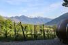 Bed & Breakfast Schlaf-fass Maienfeld