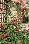 Bed & Breakfast La Chabotine