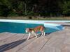 Bed & Breakfast La Giorgetta