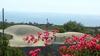 La Palma
