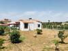 Casa Vacanza Palmento Bella