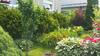Apartament Jutrzenka