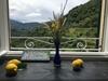 Apartamento Appartamento Il Limone