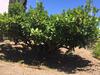 Agroturismo Dammusi Matilde