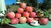 Bed & Breakfast Il Poggio Di Traverde