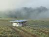 Tin Can Glamping Caravan
