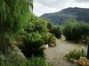 Bed & Breakfast Il Giardino Degli Ulivi