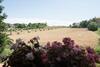 Bed & Breakfast Villa Di Agricoltori