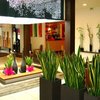 Hotel Holiday Inn Loire Valley(.)