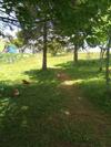 Agroturismo Family Farm Jezera