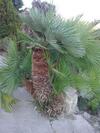 La Casa Di Anna