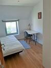 Hostal Casa Das Cam�lias Garden Guesthouse