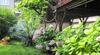 Hostal Guest House La Rose