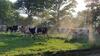 Glamping Des 2 Marguerites
