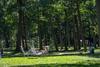 Oostappen Vakantiepark Arnhem