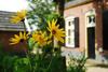 Bed & Breakfast De Bolderie