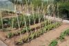 Agroturismo Stamna Farm