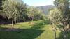 Apartamento Agriturismo Terre Verae