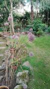 Hotel B&B El Jard�n De Aes