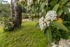 Villa Giulio B&B Dimora Storica