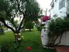 Apartamento Aldeas De Taray Duplex