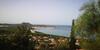 La Mimosa Sul Mare