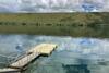 The Water's Edge