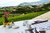 Agroturismo Casa Zuffada