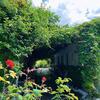 Hotel Garden Villa Naza