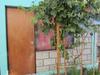 Hostal Altos Del Lascar