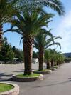 Hostal Rooms & Apartments Anka