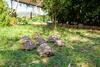 Hostal Apartments & Rooms Jelka