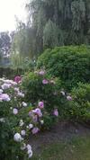 B&B Hier En Nu